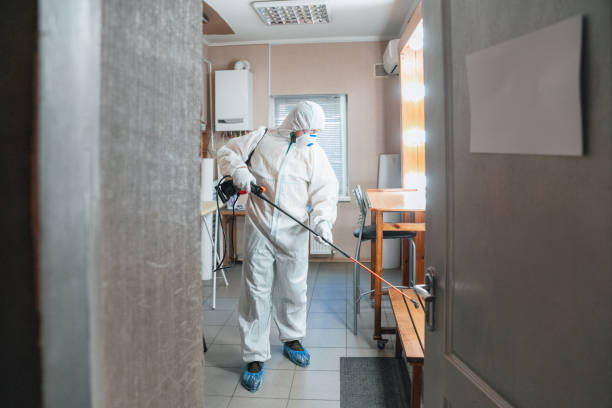 Best Comprehensive Air Testing for Mold Contaminants  in Juarez, TX